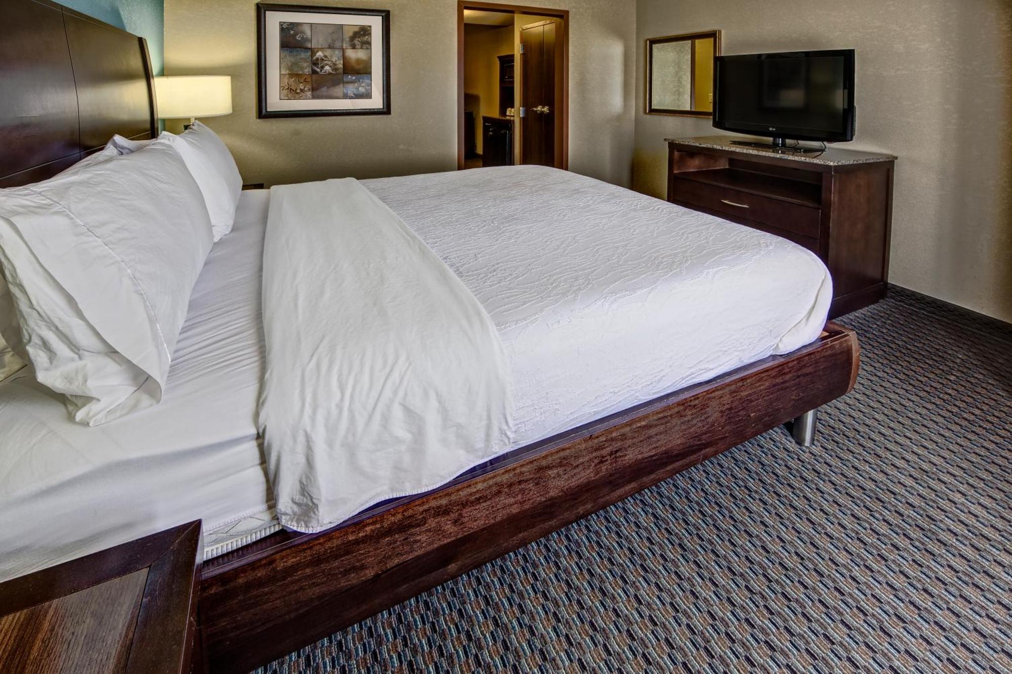 One-Bedroom King Suite with Sofa Bed